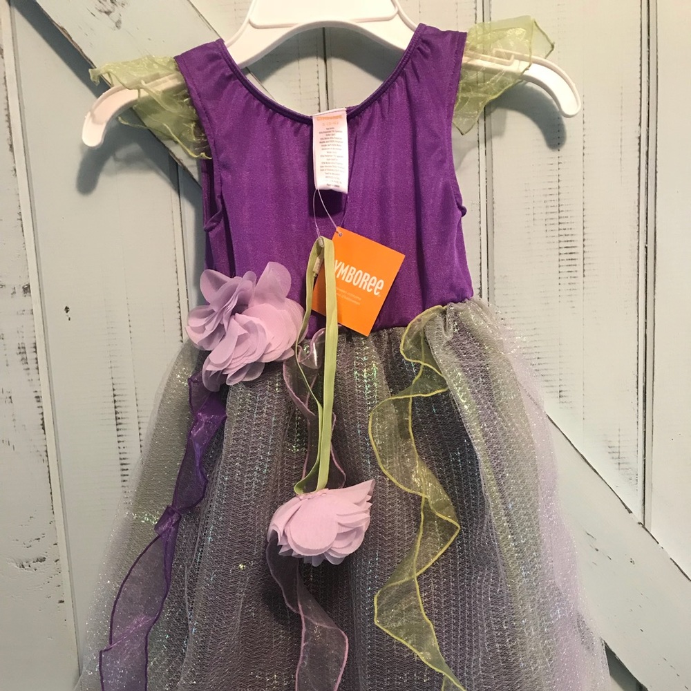 Gymboree pixie fairy butterfly costume